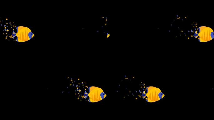 镜头停止运动动画美丽的黄色鱼