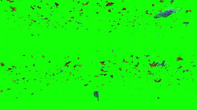 成群的蝴蝶在绿色屏幕上飞翔