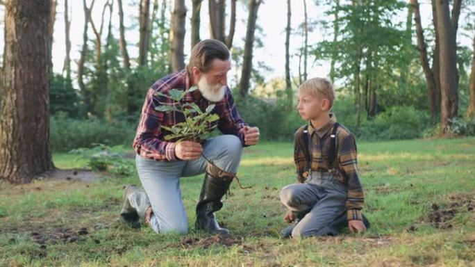 漂亮严肃的大胡子老爷爷的肖像，和他的小孙子一起在绿色公园的草坪上种树入洞，前视图