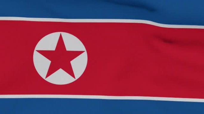 标志朝鲜民主主义人民共和国爱国主义民族自由，无缝循环