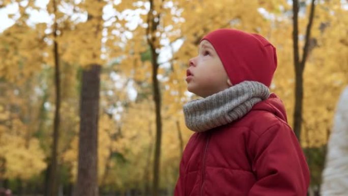 两个快乐有趣的孩子男孩女孩在公园森林散步，享受秋天的自然天气。孩子在篮子里收集落叶，玩得开心，躲藏起