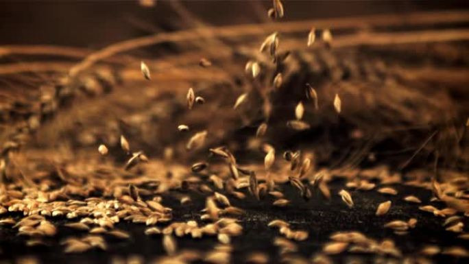 黑麦谷物的超慢动作落在桌子上。以1000 fps的高速相机拍摄。