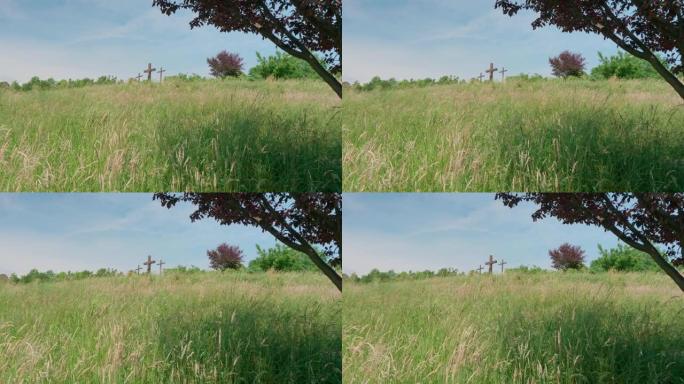骷髅岛最后一站的画面-三个木制十字架在绿色的草地上，树木在蓝色美丽的天空下