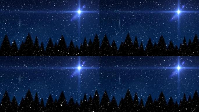 雪落在杉树上的动画和冬季风景中发光的星星