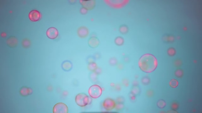美丽的彩色肥皂泡由粉红色的光照亮在室内的蓝色背景。圆形气泡漂浮在空中，闪耀着彩虹图案。特写。慢动作