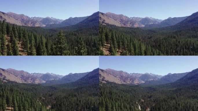 飞行镜头揭示了爱达荷州充满松树的山谷