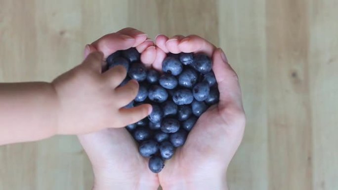 一个孩子的手伸向躺在女人手中的蓝莓。
