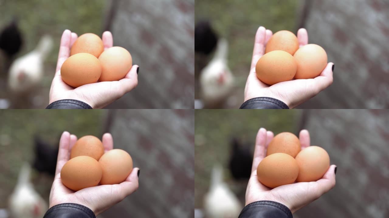 女人手中的自制鸡蛋特写。女性在户外拿着三个鸡蛋