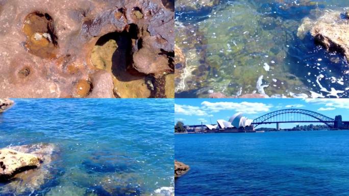 如果悉尼海港环形码头澳大利亚新南威尔士州的视频视图。渡船部分晴朗晴朗的蓝天和碧蓝的海水在岩石上坠毁