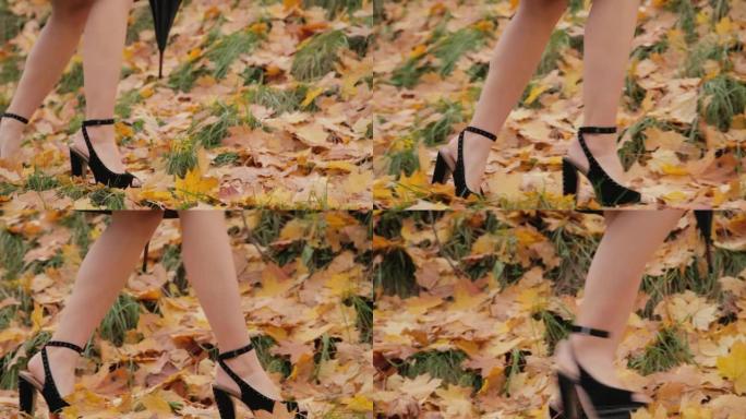 踝带高跟鞋行走在明亮的秋叶上厚厚地躺在地上