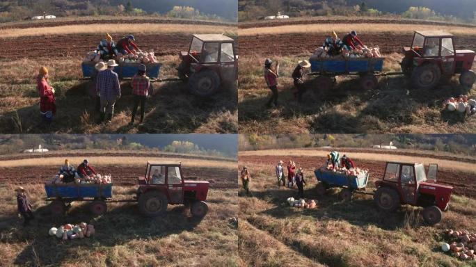 一群农民工人在拖拉机拖车中运送南瓜