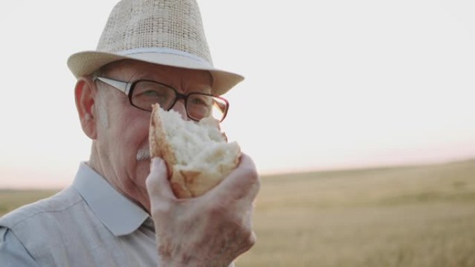 老人肖像吃新鲜面包，在阳光明媚的麦田里快乐