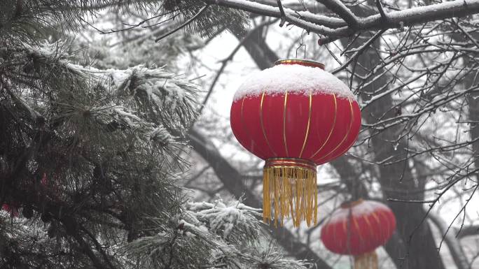 雪中的红灯笼2