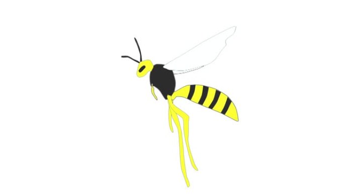 飞纸黄蜂的图像