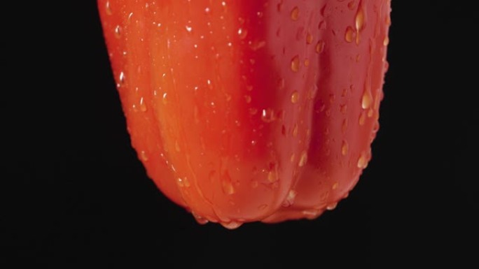 黑色工作室背景上的红色甜椒底部滴水。用水滴拍摄成熟蔬菜的宏观照片。部分框架，餐厅的纯素食。特写。慢动