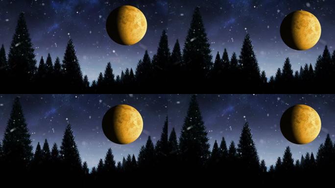 夜景下森林中的满月和星星的动画