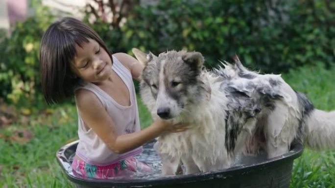 女孩 (6-7) 在后院给狗洗澡。
