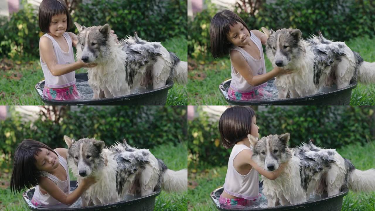 女孩 (6-7) 在后院给狗洗澡。