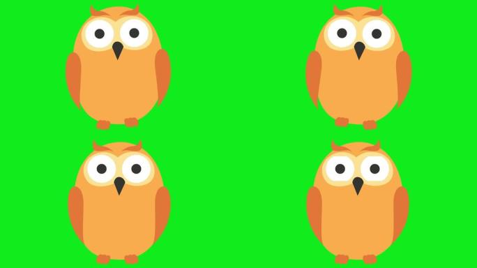 动画有趣的猫头鹰。循环视频。矢量插图孤立在绿色背景上。