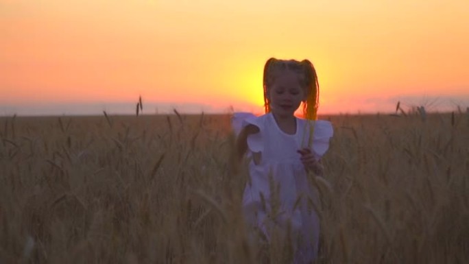日落时一个小女孩的肖像。孩子和自然。快乐的童年和游戏中的自由。跑过小麦笑。日落时微笑。