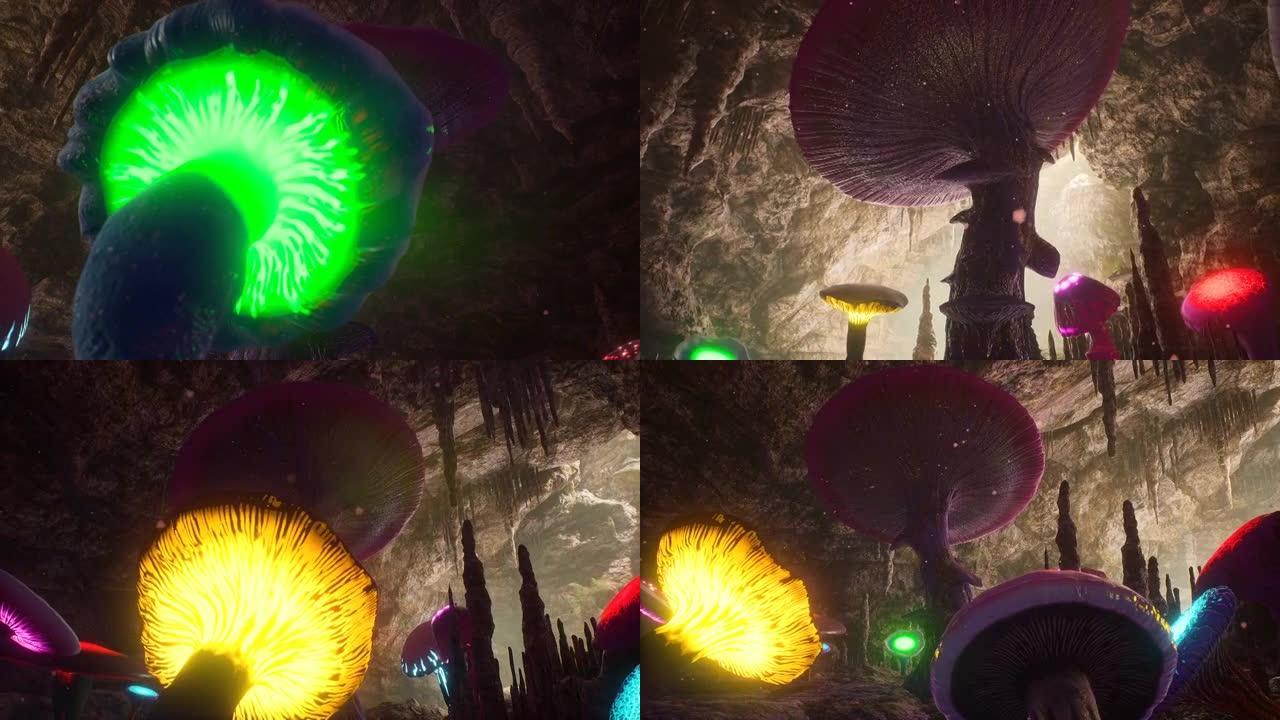 神奇的神秘洞穴，有不寻常的发光蘑菇。神奇神秘蘑菇的概念。该动画非常适合童话，幻想，冒险和魔术背景。