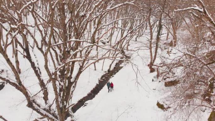 夫妻俩一起走在白雪皑皑的森林里聊天。关系和团结概念复制粘贴背景