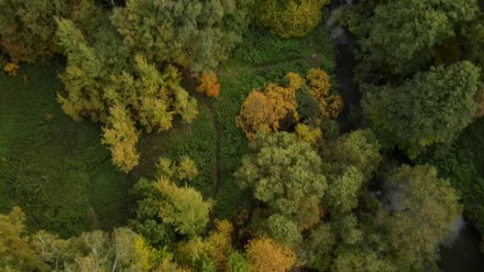 美丽的秋天森林，有一条小溪，鸟瞰。