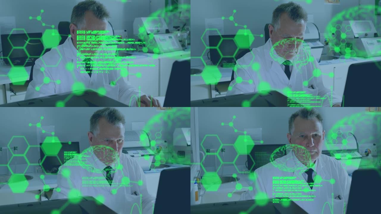 使用笔记本电脑对医生进行数据处理，数字人脑模型和分子的动画