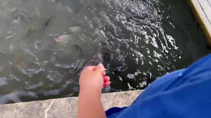 男婴喂鱼