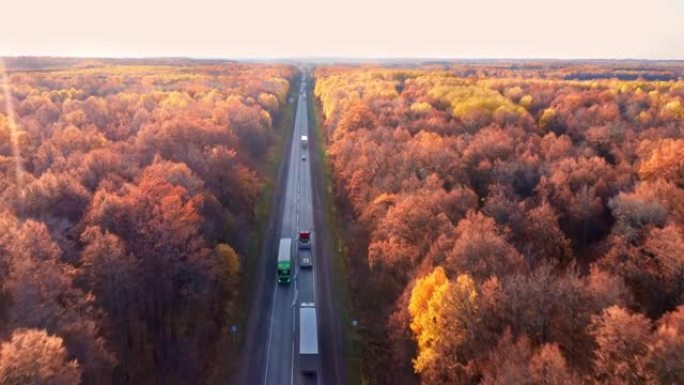 平坦的高速公路穿过风景如画的黄橙森林。几辆卡车正沿着公路驶向最近的城市。