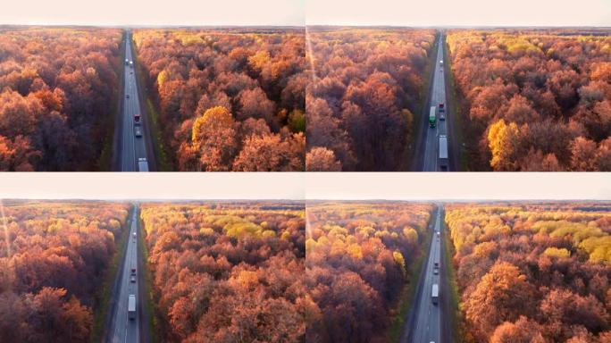 平坦的高速公路穿过风景如画的黄橙森林。几辆卡车正沿着公路驶向最近的城市。