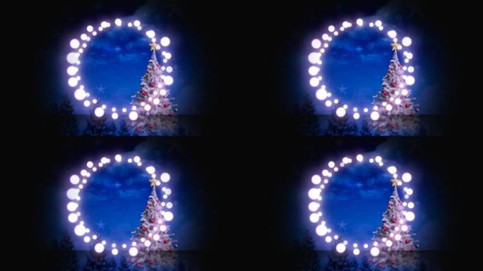 夜空圣诞树上装饰发光的仙女灯