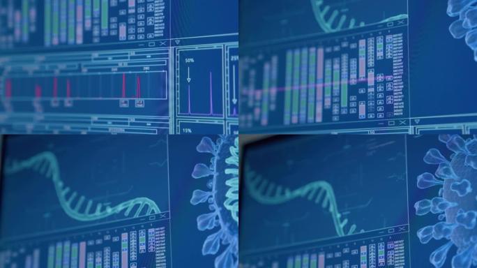 计算机屏幕上的冠状病毒和DNA模型。研究DNA损伤