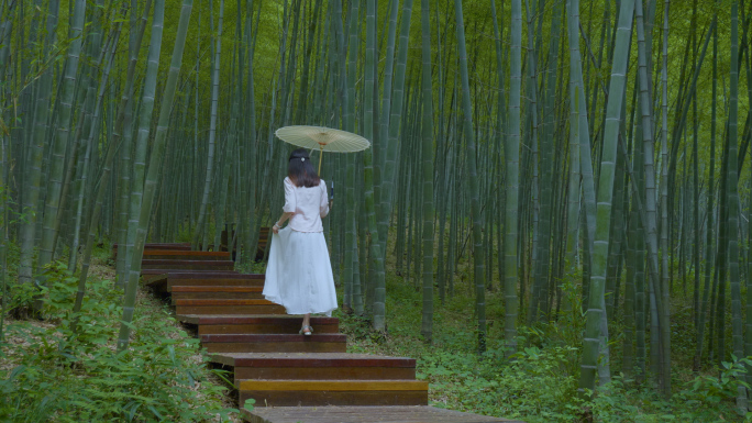 古装中国风美女湖边竹林打伞漫步背影