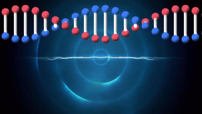 dna链在蓝色圆圈上的动画