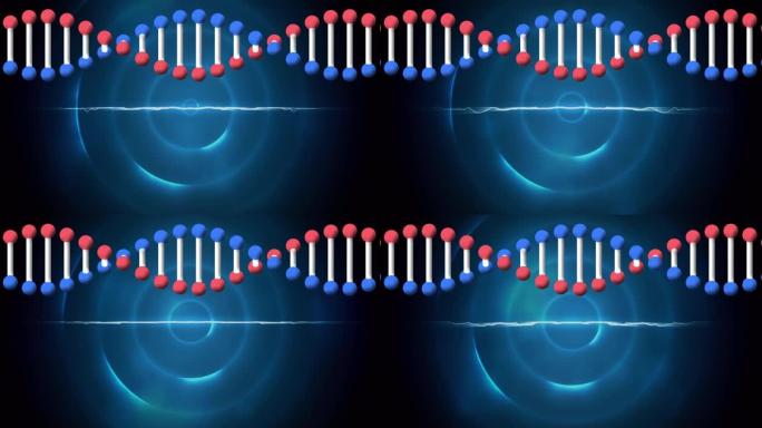 dna链在蓝色圆圈上的动画
