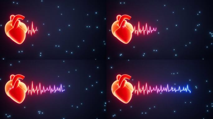 心率与心脏跳动曲线动画