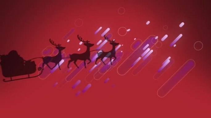 紫光小径漂浮在雪橇上的圣诞老人上，被红色背景上的驯鹿拉动