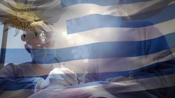 乌拉圭国旗在手术室挥舞着外科医生的动画
