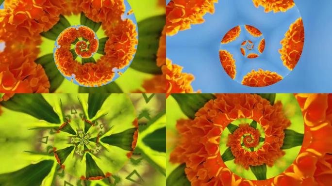 万花筒背景-蓝天上的橙色花，螺旋，循环视频。