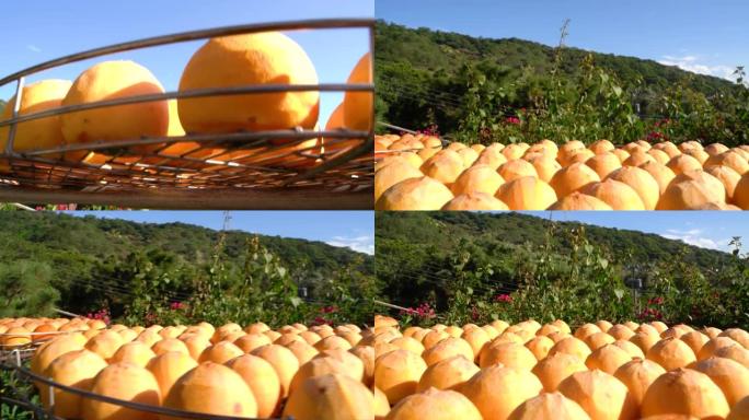 秋季在筛子中晒出柿子的制作过程。