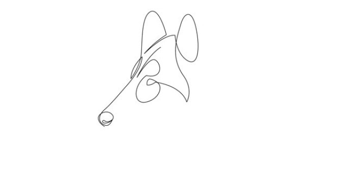 自绘单连续单线绘制粗糙牧羊犬的简单动画。伯恩哈丁纳 (Bernhardiner) 用手绘制头像，白色