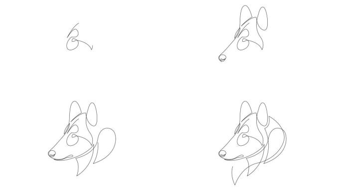 自绘单连续单线绘制粗糙牧羊犬的简单动画。伯恩哈丁纳 (Bernhardiner) 用手绘制头像，白色