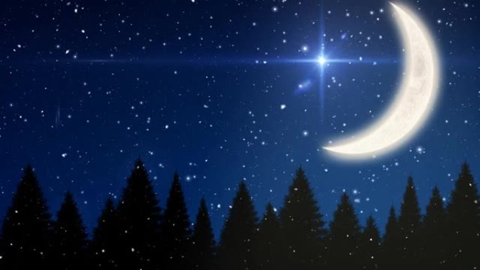 冬季景观中雪落在月亮，星星和枞树上的动画
