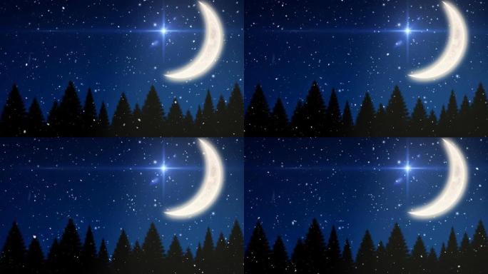 冬季景观中雪落在月亮，星星和枞树上的动画