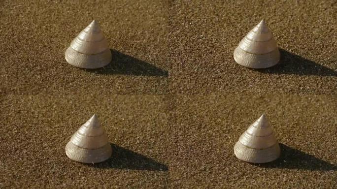 沙滩上的锥形壳，风吹沙