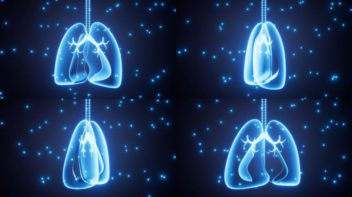 肺部模型与神经系统动画