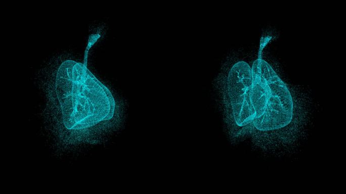 3D肺部人体器官HUD元素旋转科技医疗肺