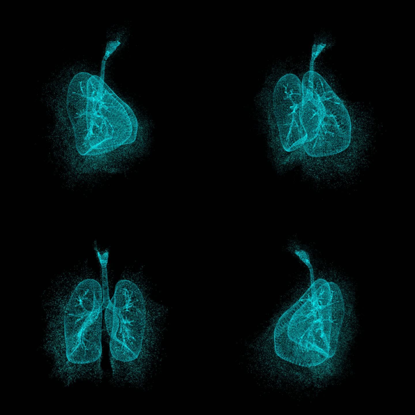 3D肺部人体器官HUD元素旋转科技医疗肺