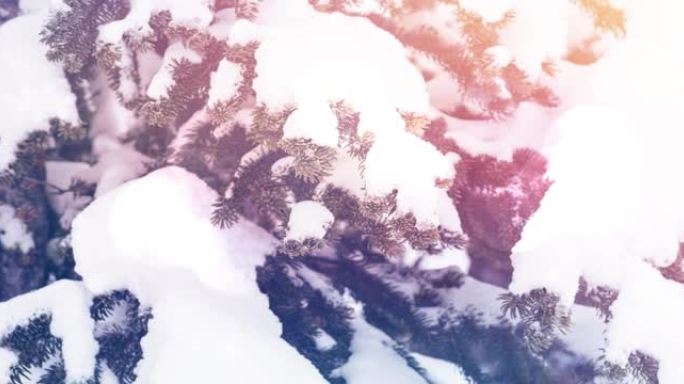 降雪和冬季景观上的光点动画